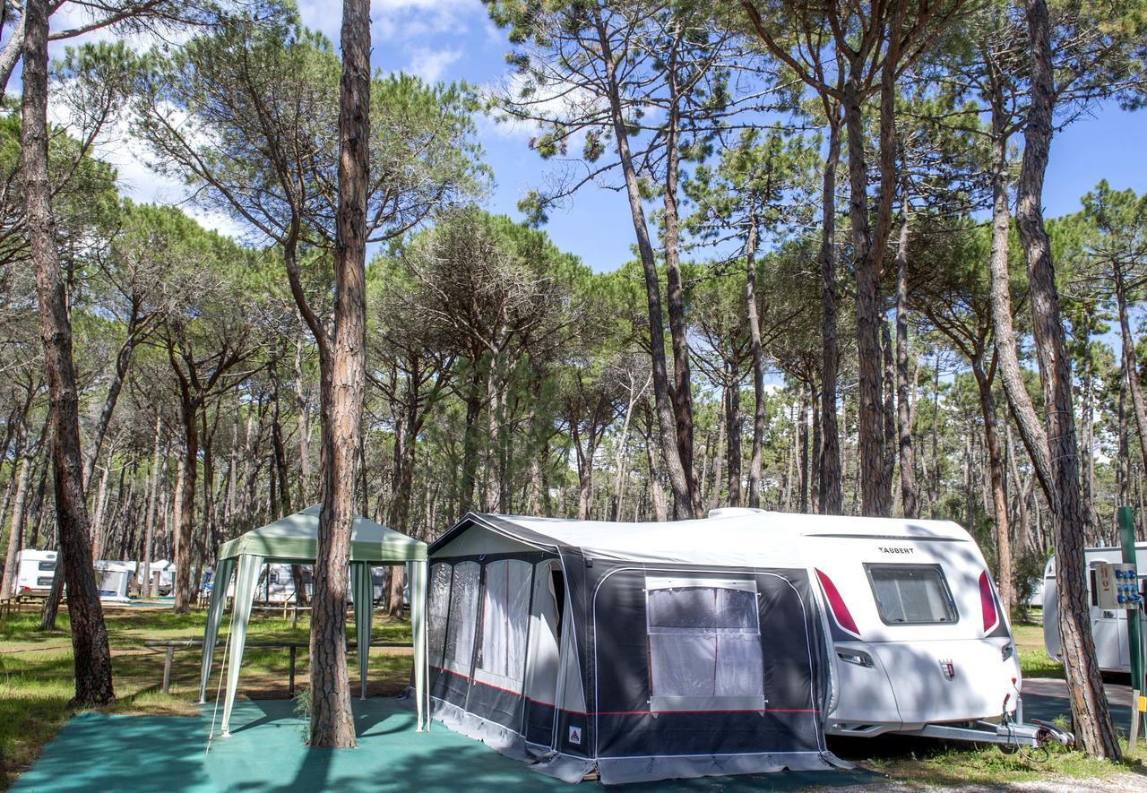Campeggio Baia Verde Castiglione della Pescaia Extérieur photo