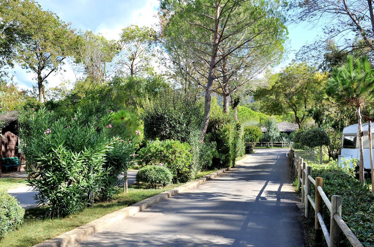 Campeggio Baia Verde Castiglione della Pescaia Extérieur photo