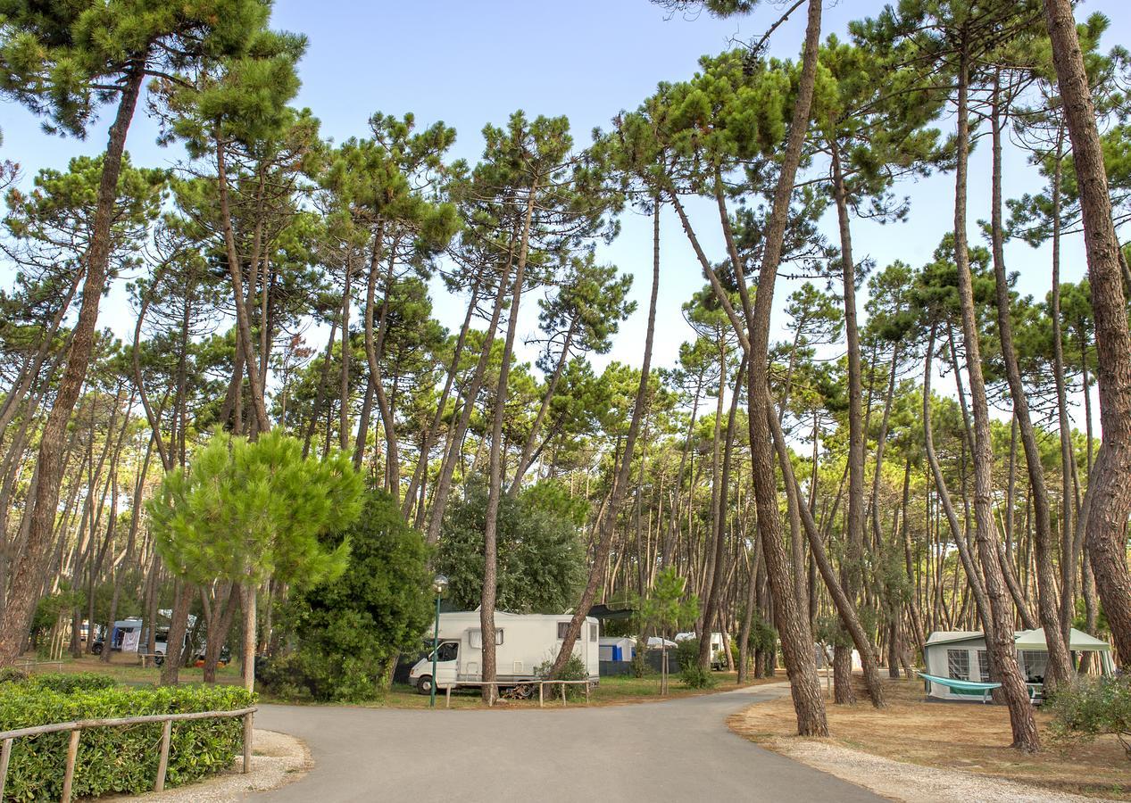 Campeggio Baia Verde Castiglione della Pescaia Extérieur photo